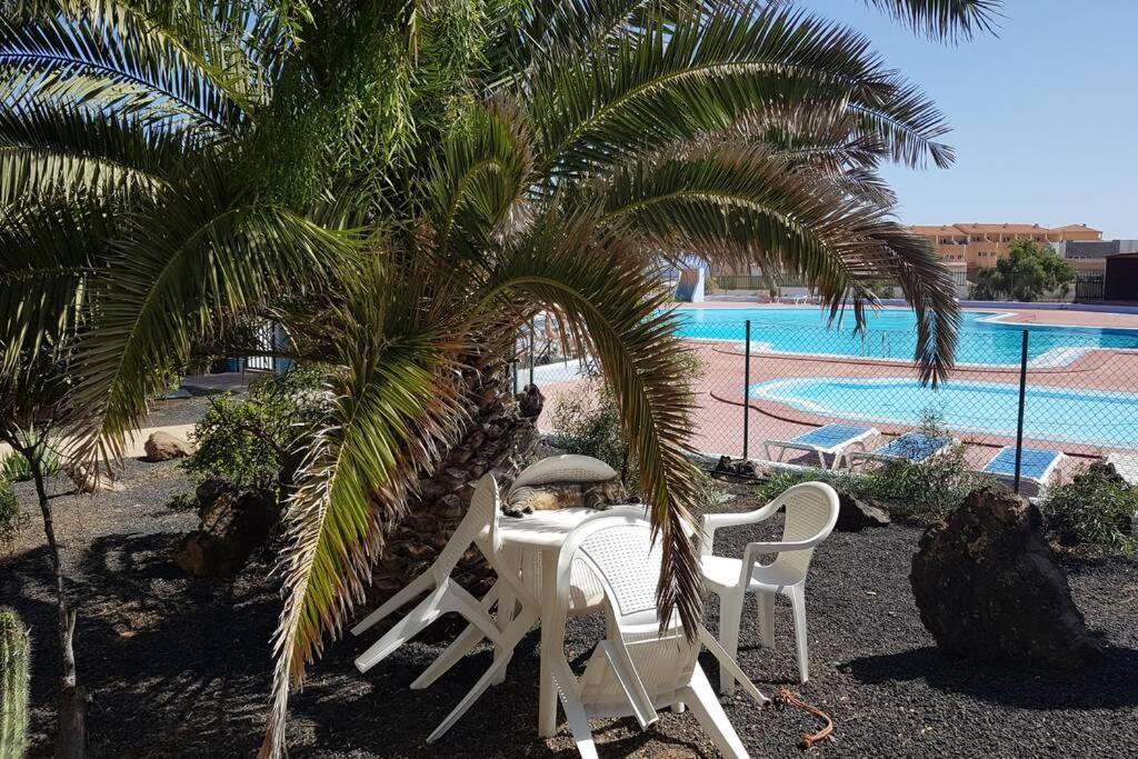 Appartement Bouganville Rez-De-Chaussee Wifi Costa De Antigua Εξωτερικό φωτογραφία